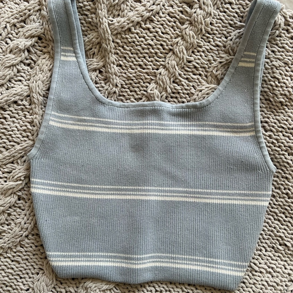 Babaton Blue and White Striped Sculpt Knit Tank